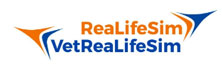 ReaLifeSim, LLC